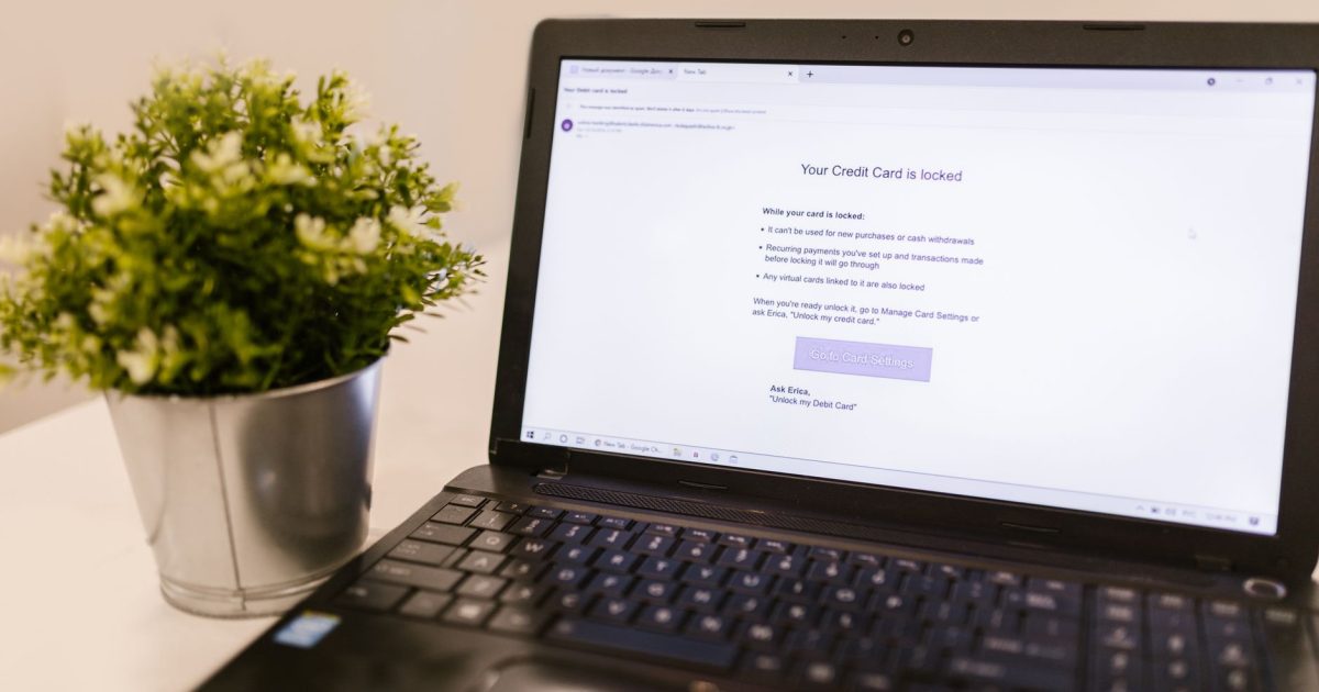 A close-up of a laptop screen showing a credit card security notification next to a potted plant.