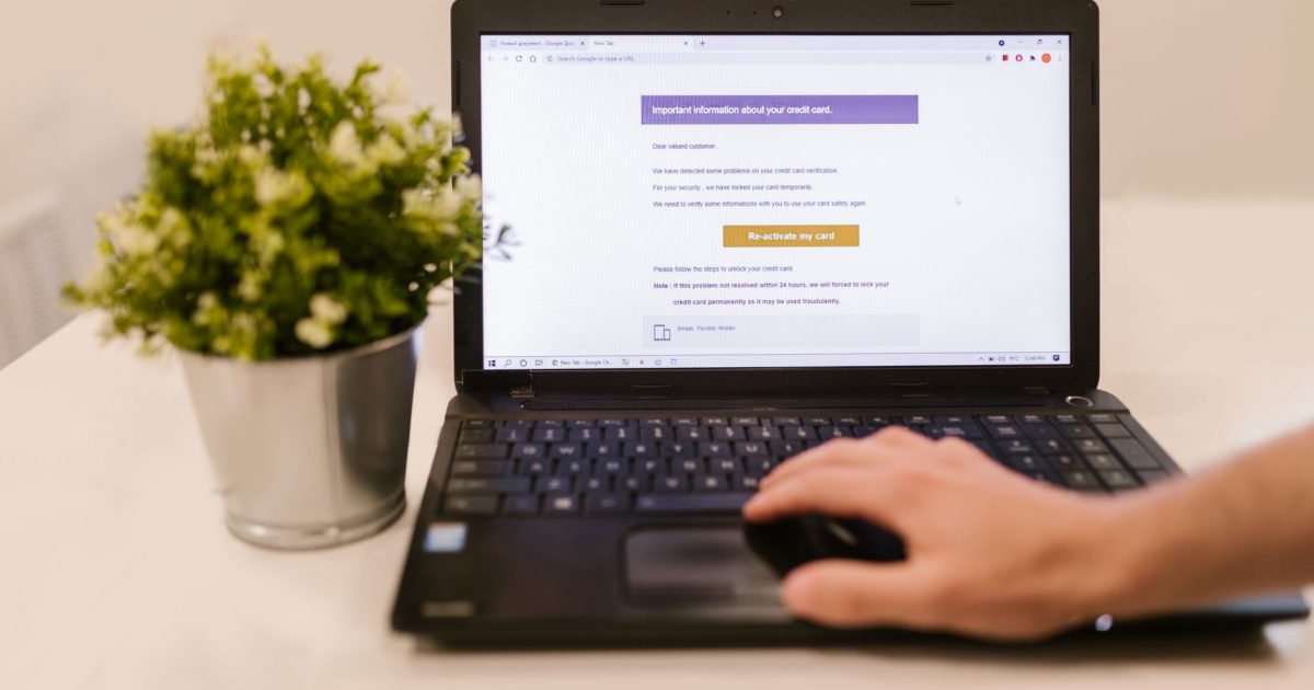 Person using a laptop to read an email indoors beside a potted plant.
