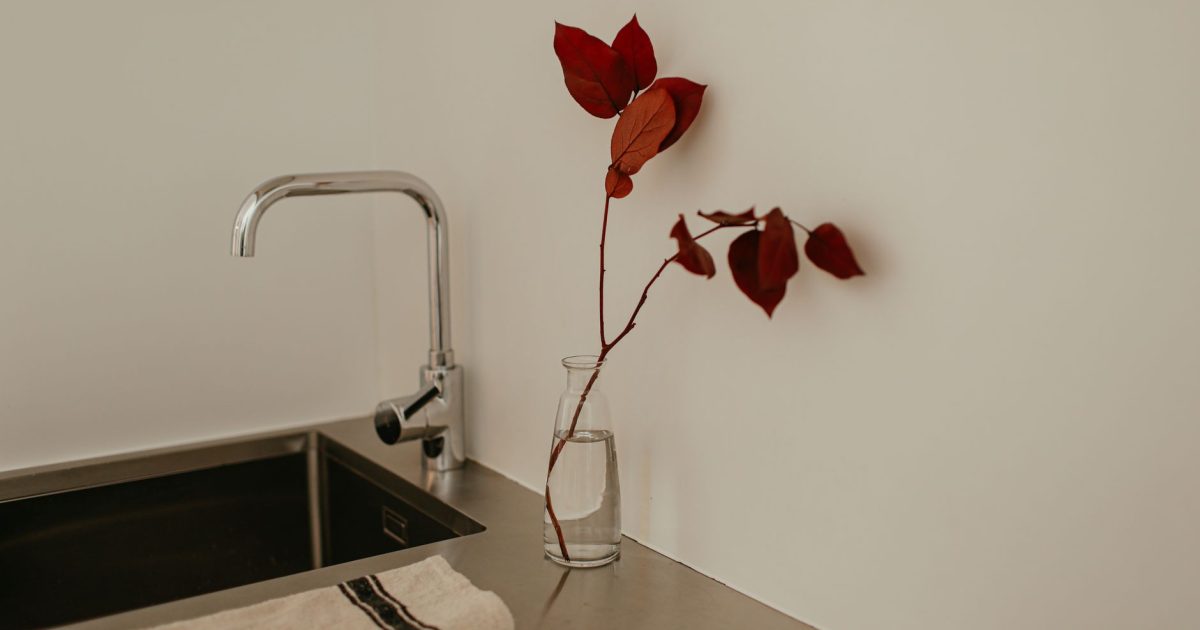 Simple and elegant kitchen design featuring a minimalist setup and red leaves in a vase.